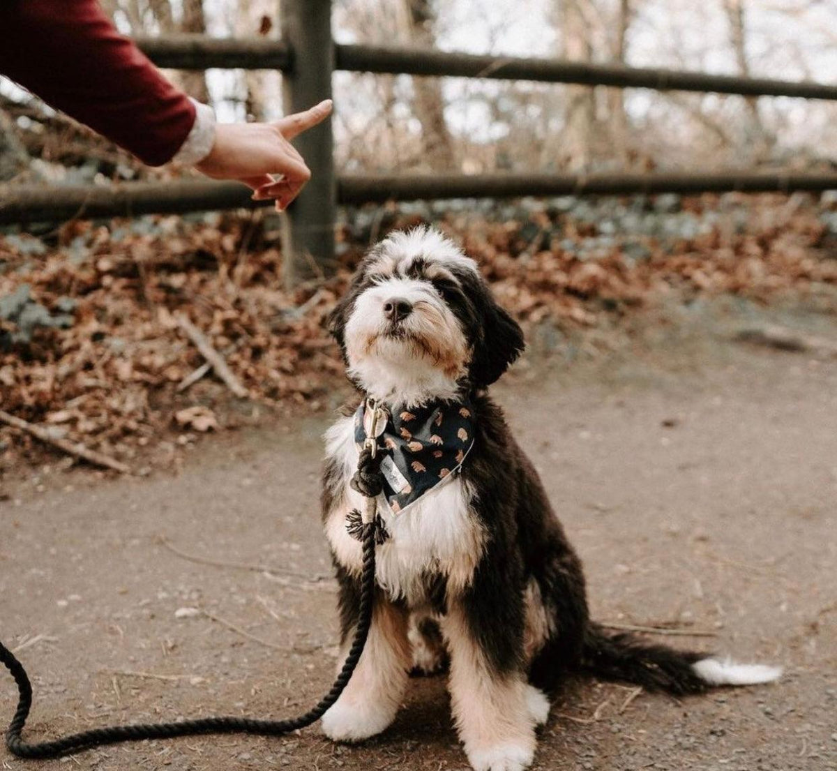ROPE LEASH - NOIR