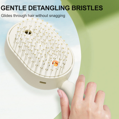Electric Spray & Massage Hair Brush